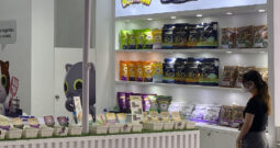 2013CIPS
